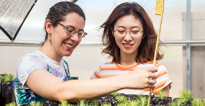 Professor Emily Moran, left, and graduate student Mengjun Shu examine seedlings in the research greenhouse.