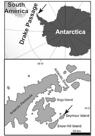 A map of Seymour Island in relation to the Antarctic and the Drake Passage.