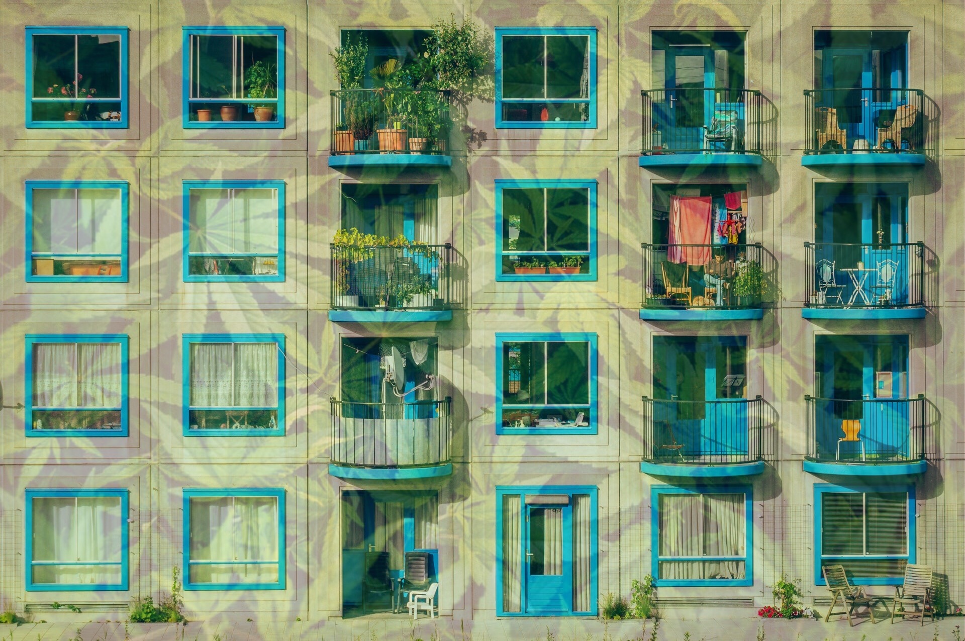 Multi-Unit Housing with overlay of Marijuana